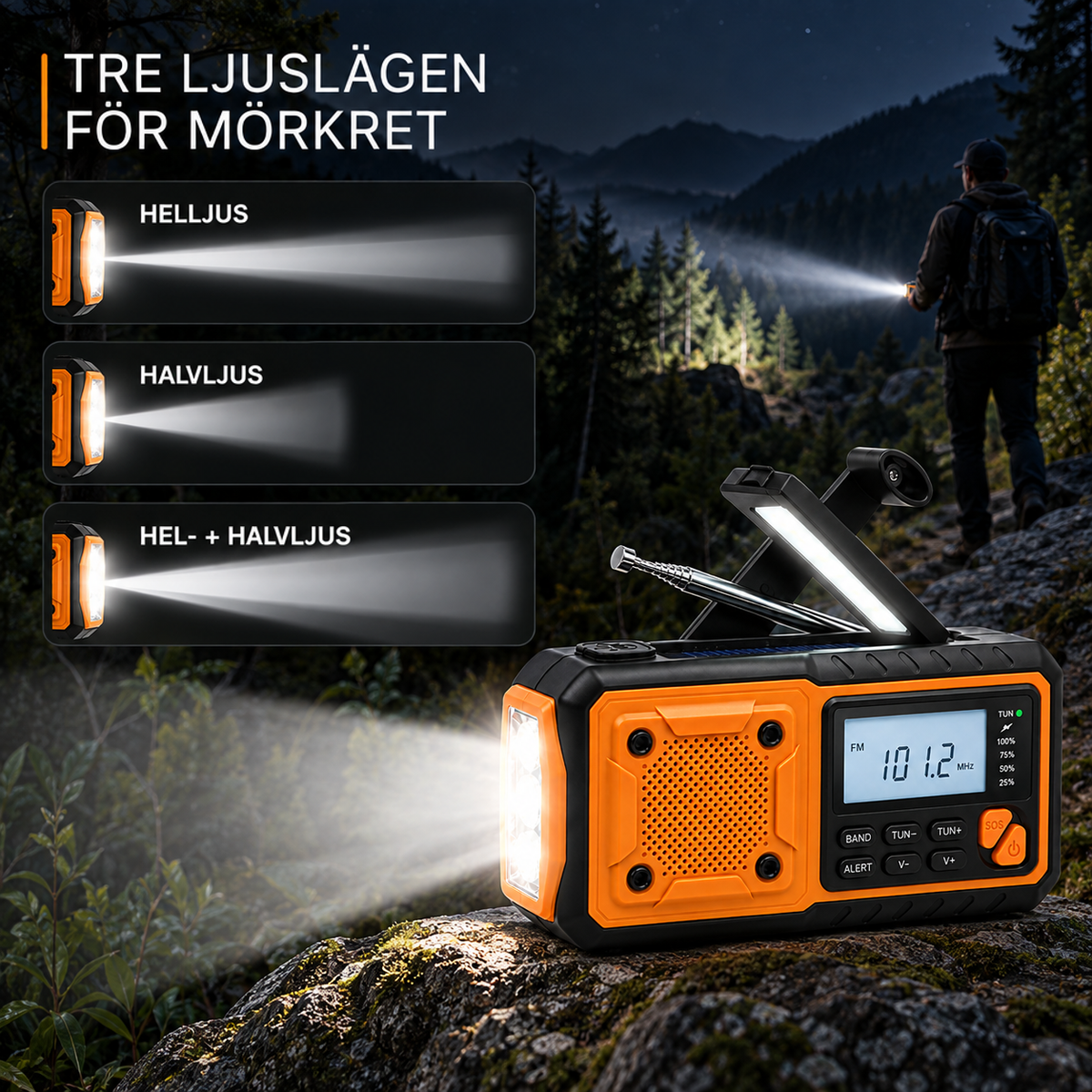 Radion på en mossig sten på natten, med tänd ficklampa och tre ljusstrålar illustrerade 6
