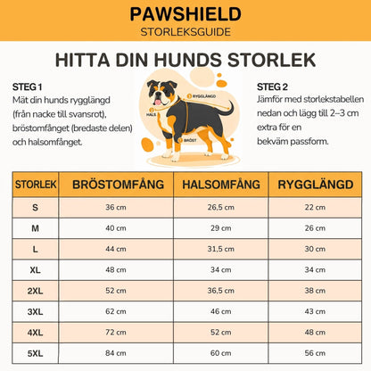 Storlekstabell med mätguide som visar hur man mäter bröst, nacke och ryggländ på hunden, med mått för varje storlek. 10