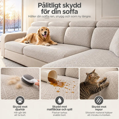 Krämvit soffa med hund och tre närbilder: borste på hårtussar, spilld dryck, katt som klöser 5
