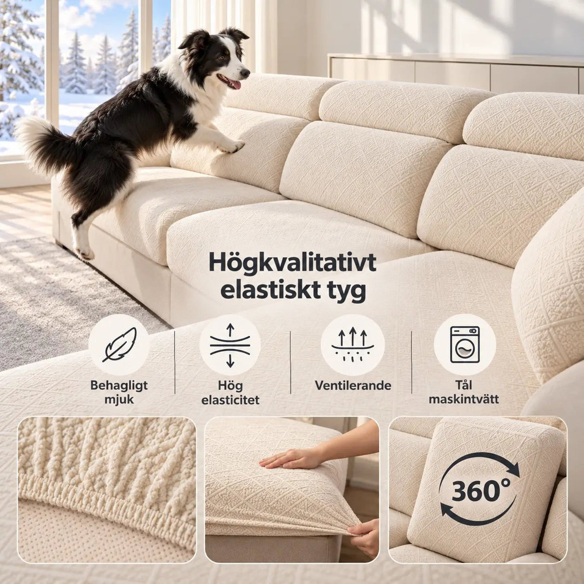 Border collie hoppar upp i krämvit soffa, med närbilder på tygets mjukhet och passform 4