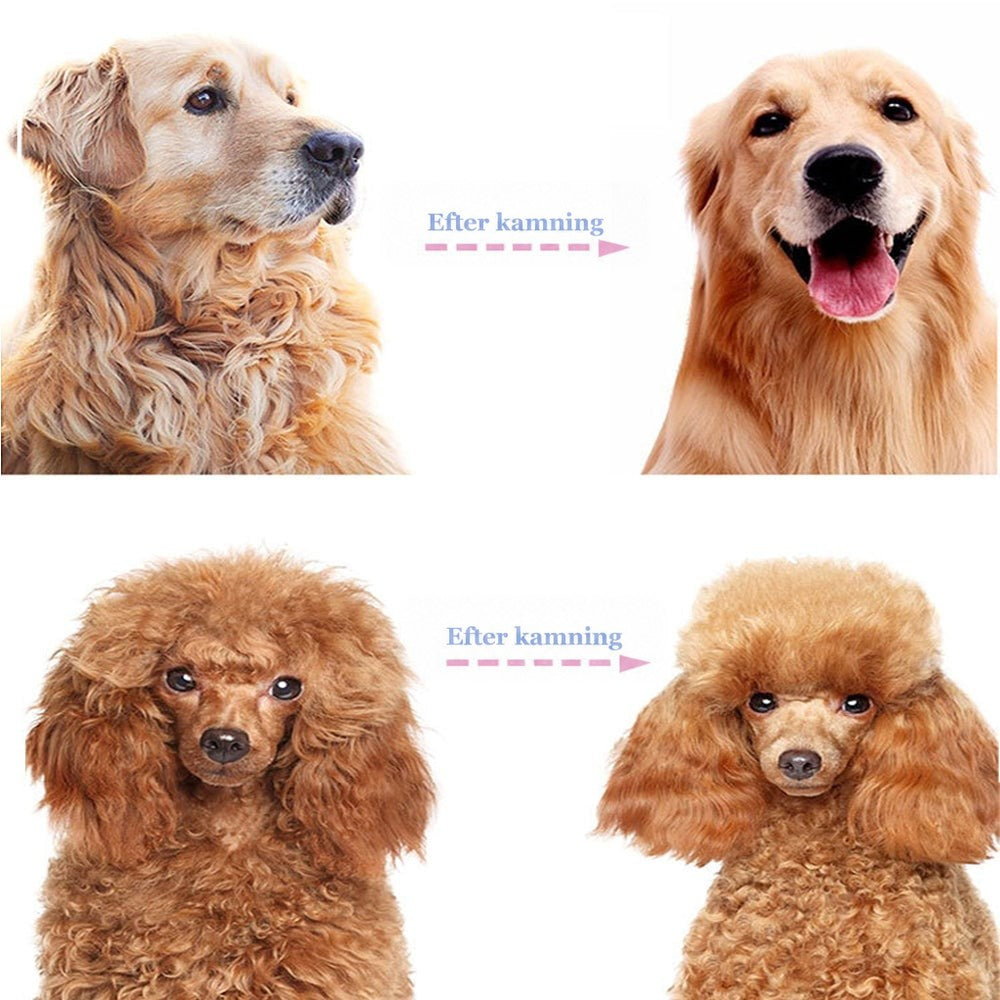 Före- och efterjämförelse efter kamning av en golden retriever och en brun pudel, med tovig päls till vänster och slät till höger. 7