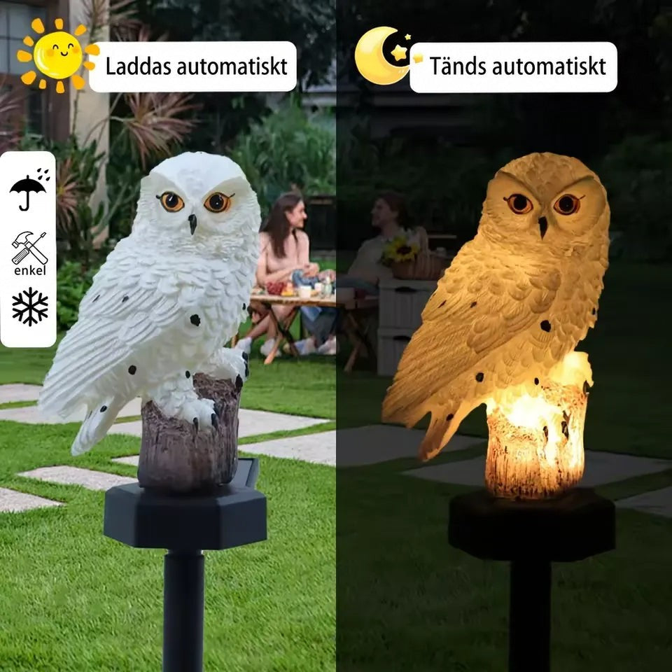 Vit uggla i dagsljus till vänster och samma uggla upplyst i gult sken i mörkret till höger, med människor i trädgården. 2