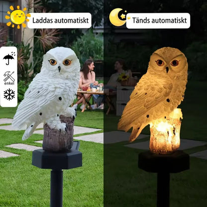 Vit uggla i dagsljus till vänster och samma uggla upplyst i gult sken i mörkret till höger, med människor i trädgården. 2