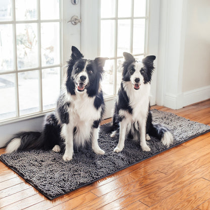 Två svartvita border collies sitter på en grå matta på trägolv framför en fönsterdörr. 10