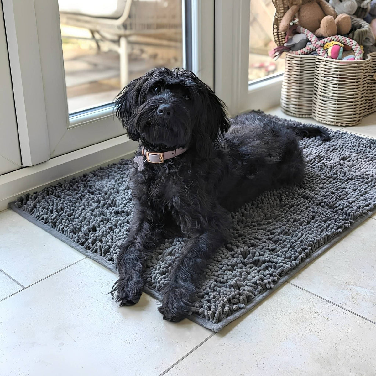 Svart hund med rosa halsband ligger på en grå chenillematta på kaklat golv vid en glasdörr. 3