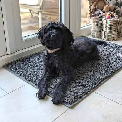 Svart hund med rosa halsband ligger på en grå chenillematta på kaklat golv vid en glasdörr. 3