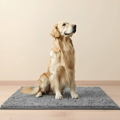 Golden retriever sitter upprätt på en grå chenillematta på parkettgolv framför en beige vägg. 1