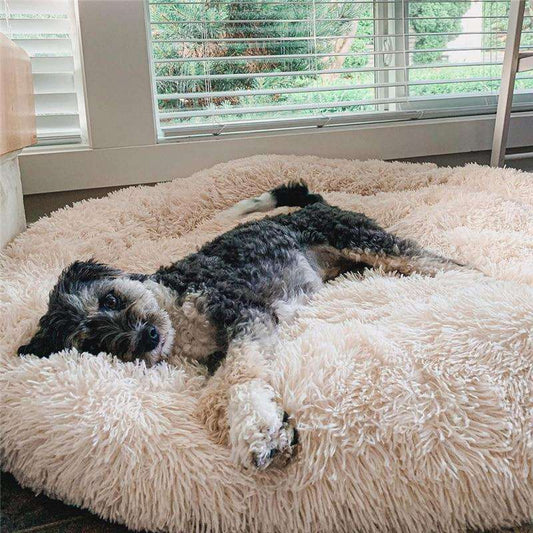 Lugnande anti-stress hundkudde – Nuvio