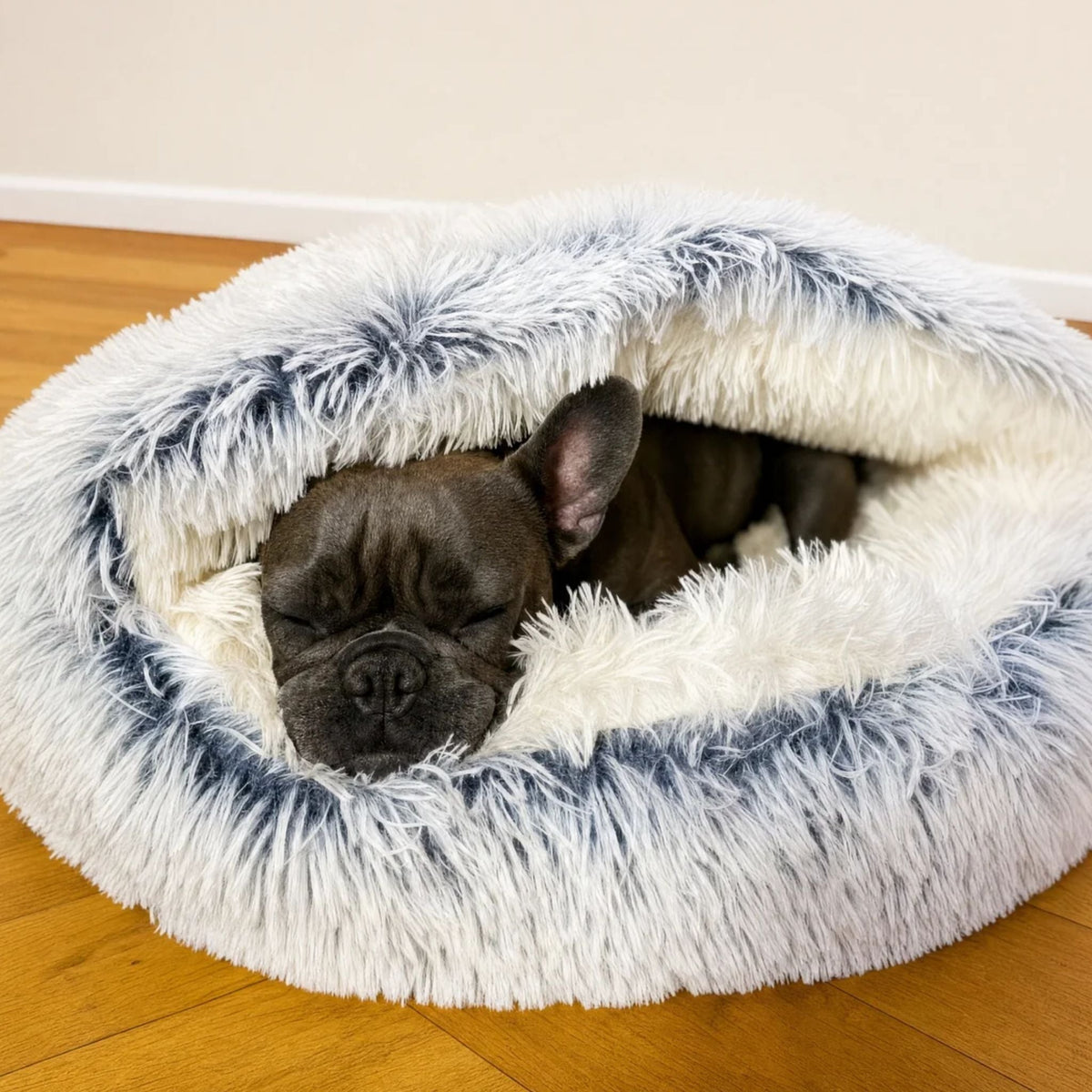 En mörk fransk bulldogg sover hoprullad inuti plyschbädden, med huvan delvis nedfälld över kroppen. 2