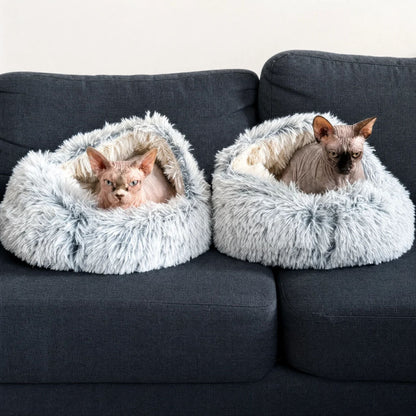 Två nakna sphynxkatter sitter i varsin ljusgrå plyschbädd bredvid varandra på en mörkgrå soffa. 8