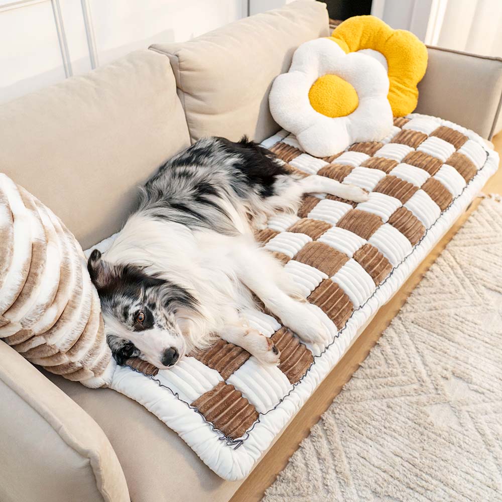 Hund auf cremefarbenem kariertem Haustierbett auf Sofa mit Blumen- und Streifenkissen.