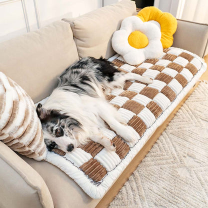 Hund auf cremefarbenem kariertem Haustierbett auf Sofa mit Blumen- und Streifenkissen.