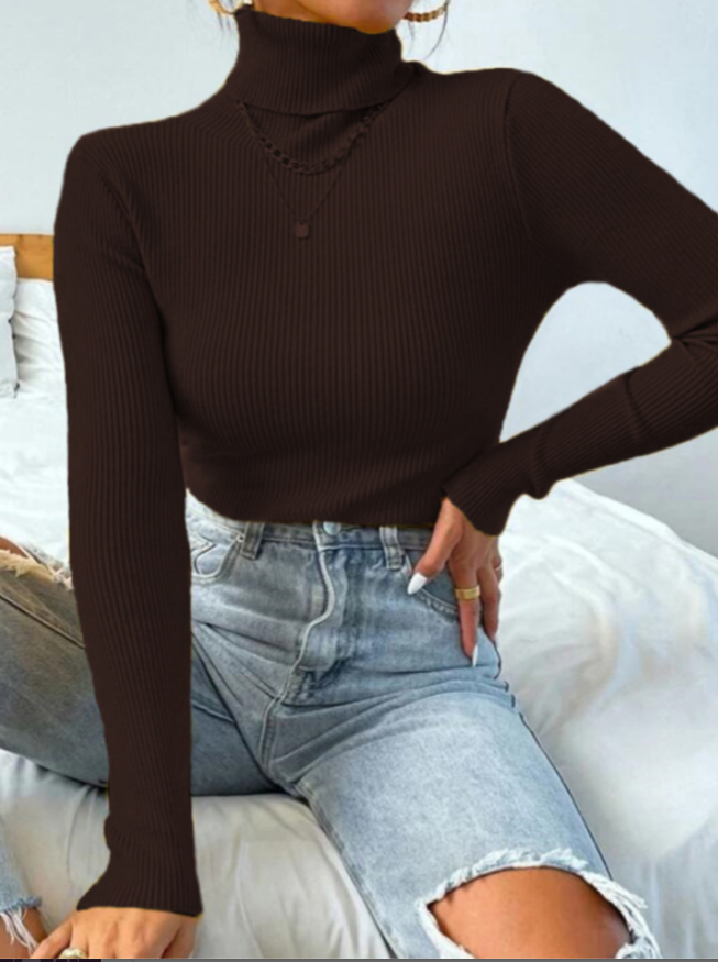 Damen Rollkragenpullover, braun, gerippt, langärmelig, modisch, Herbstmode, bequem.