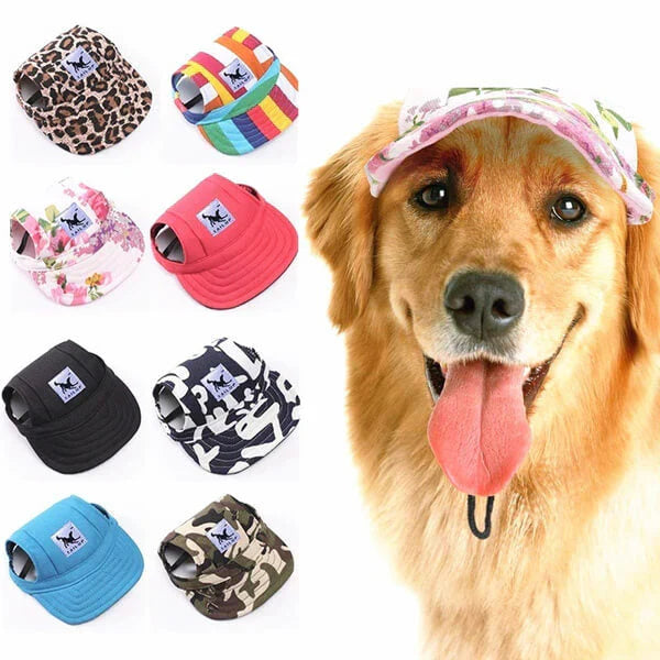 Hund mit bunter Hundemütze, verschiedene Designs, modische Haustier-Accessoires, Sommerhut.