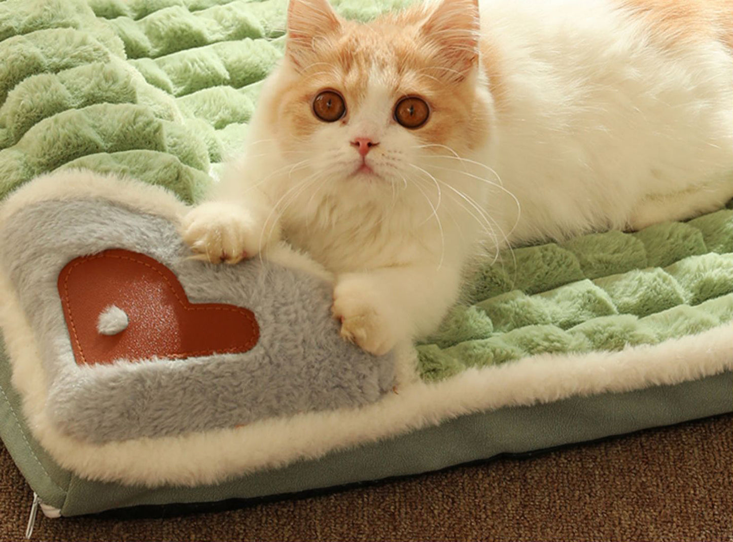 Flauschige Katze auf grünem Plüschbett mit Herzmotiv, Haustierbett, gemütlich, weich.
