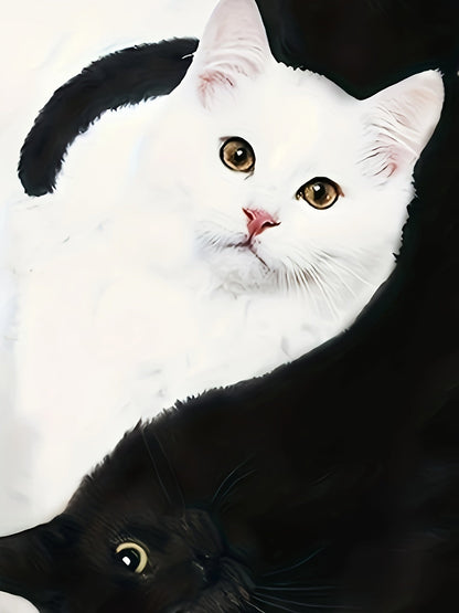 Weiße und schwarze Katze liegen zusammen, Nahaufnahme, Haustiere, Tierfotografie, Katzenfreunde.