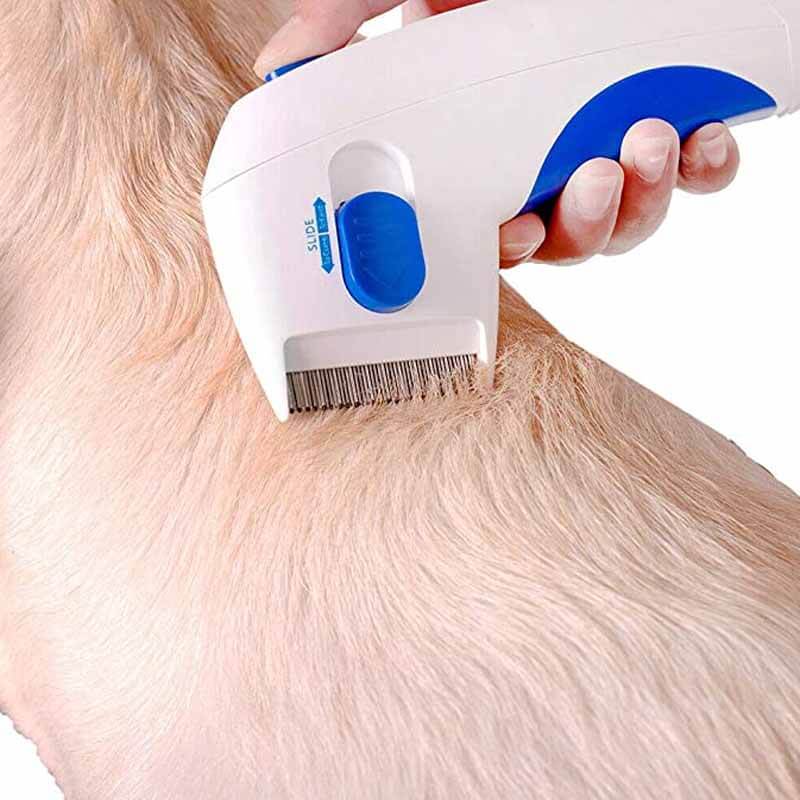 Elektrischer Haustier-Flohkamm, weiß-blau, entfernt Flöhe und Schmutz, ergonomisches Design.