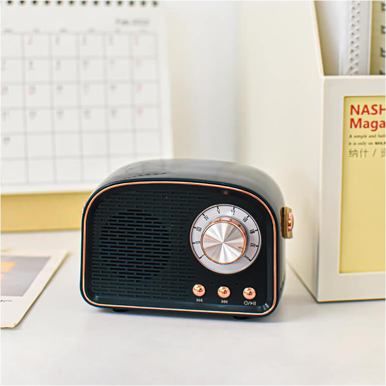 Vintage Bluetooth-högtalare med FM-radio – RetroVibe