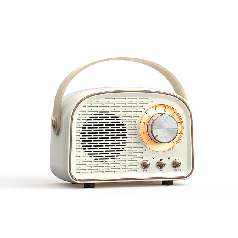 Vintage Bluetooth-högtalare med FM-radio – RetroVibe