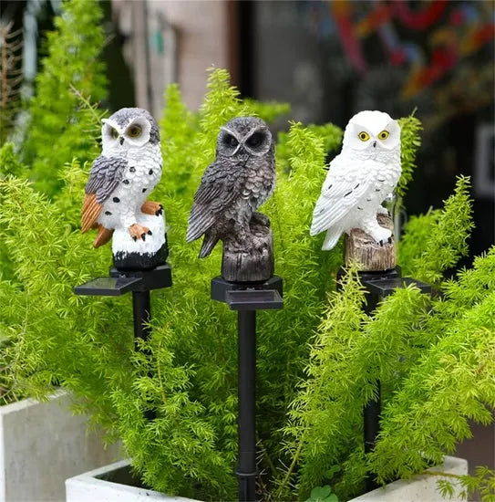 Tre ugglor, brun-vit, mörkbrun och vit, på spett bland gröna buskar vid blomlådor på dagen. 10