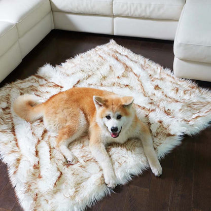 Hund auf weißem Kunstfell-Teppich, flauschig, Wohnzimmer, braun-weiß, gemütlich, Akita.