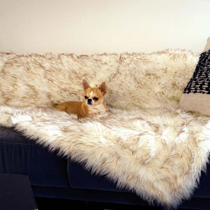 Kleiner Hund auf weißem Kunstfell-Überwurf auf grauem Sofa, gemütliches Wohnzimmer-Dekor.