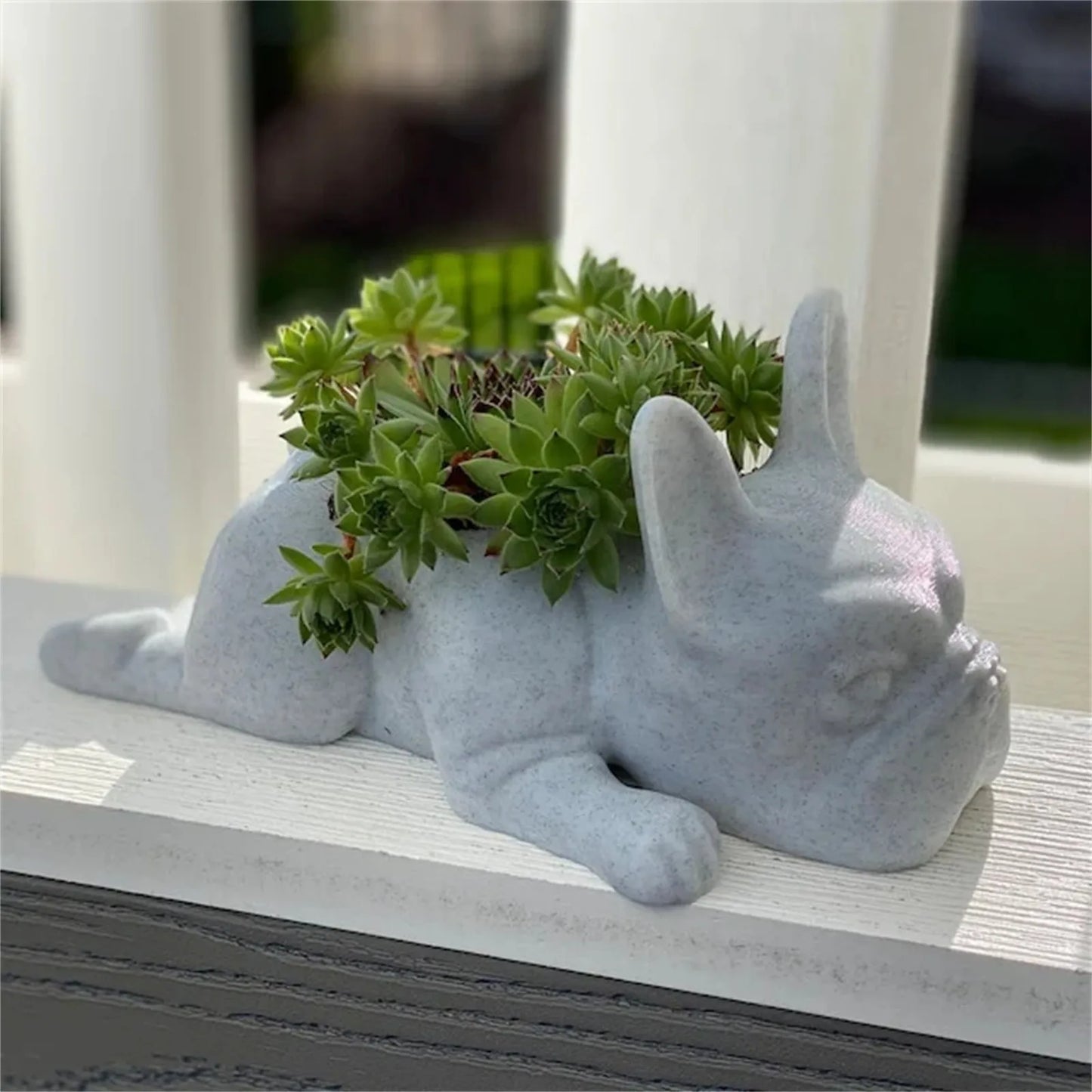 Französische Bulldogge Pflanzgefäß aus Beton mit Sukkulenten, dekorative Gartenfigur.