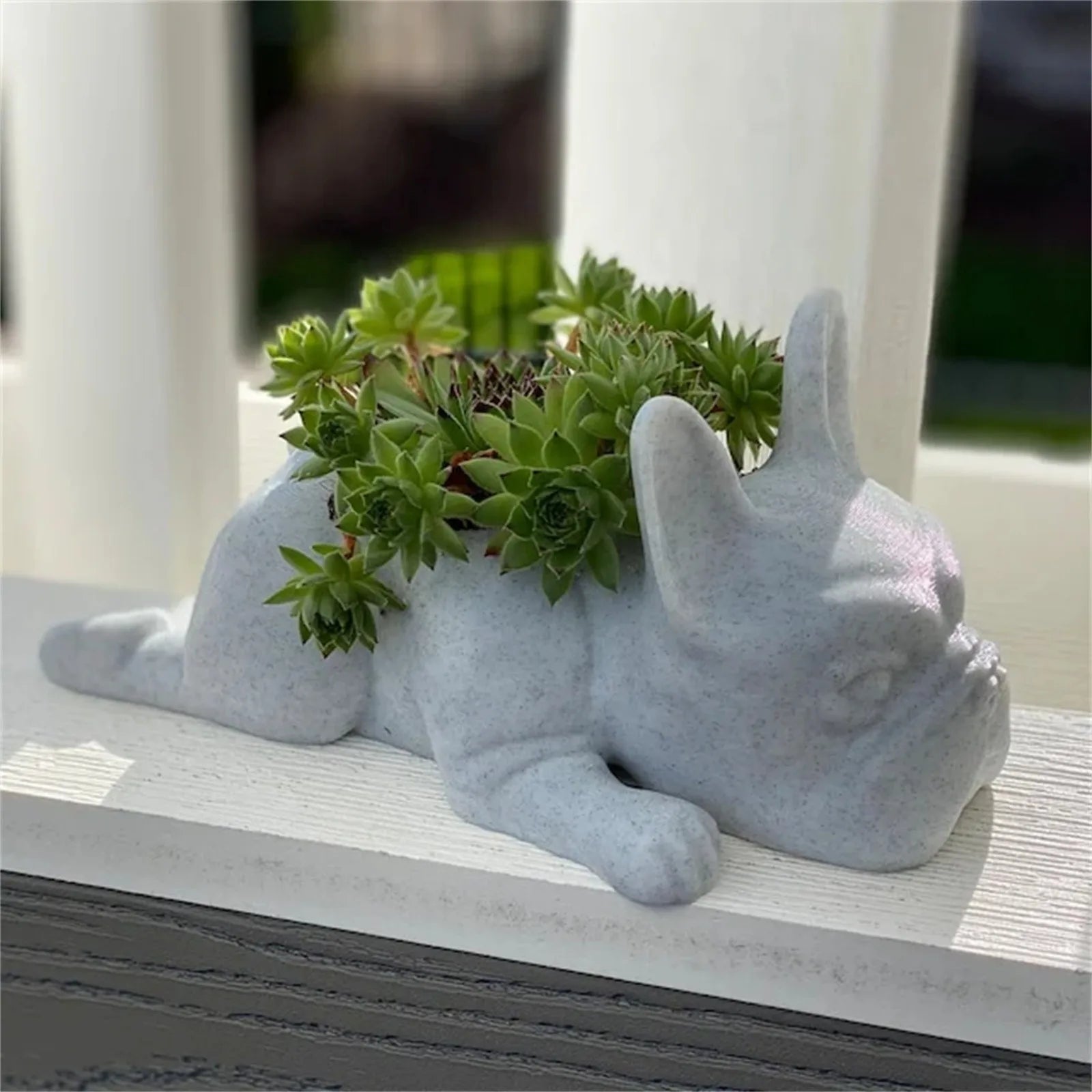 Französische Bulldogge Pflanzgefäß aus Beton mit Sukkulenten, dekorative Gartenfigur.