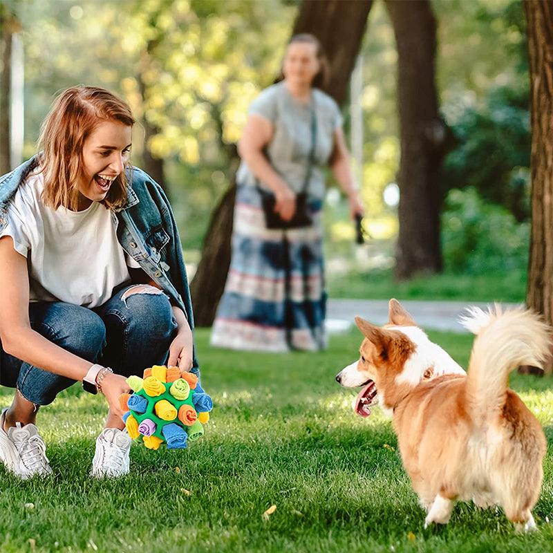 Frau spielt mit Hund und buntem Schnüffelball im Park, Hundespielzeug, Outdoor-Aktivität.