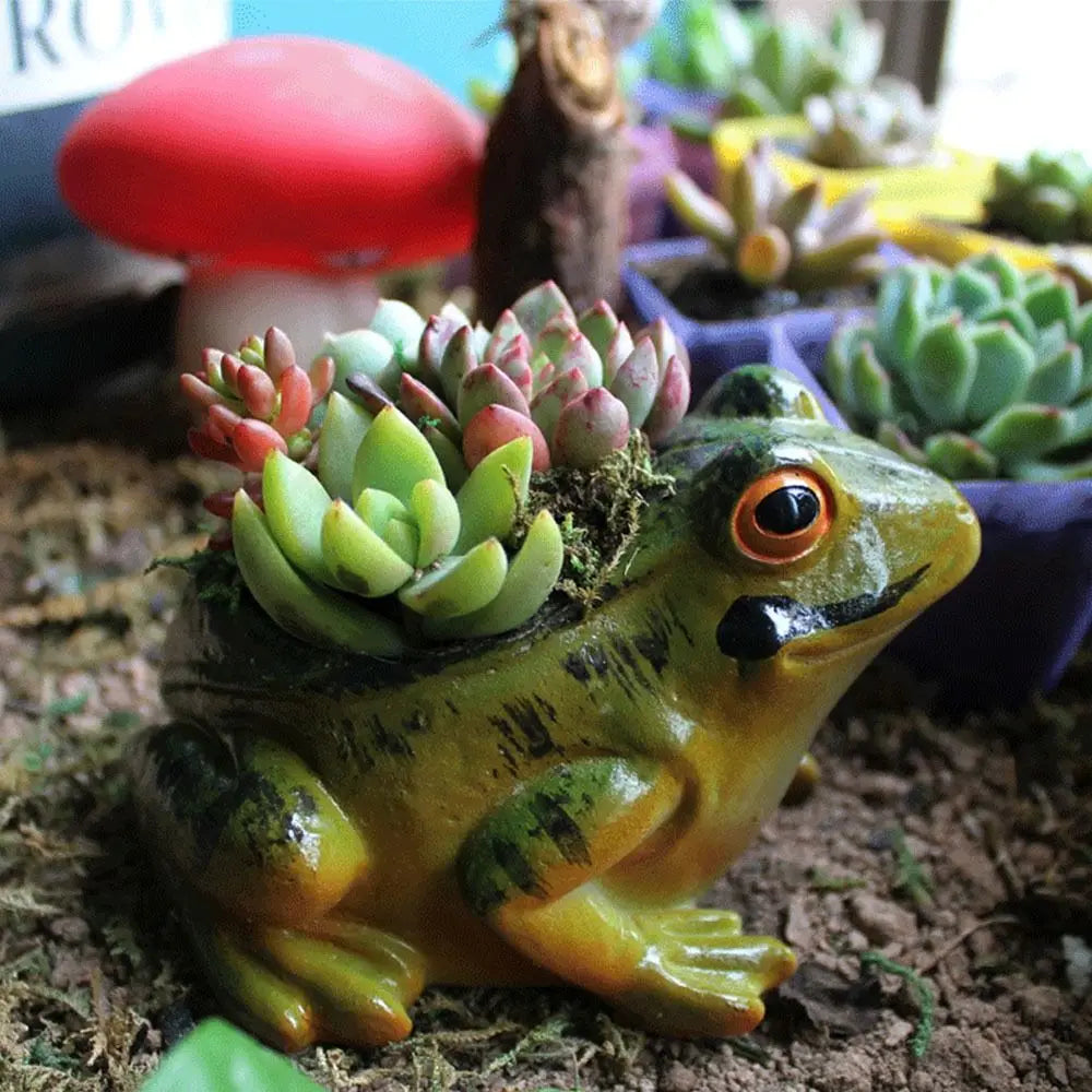 Frosch-Blumentopf aus Harz mit Sukkulenten, dekorative Gartenfigur, grün, niedlich.