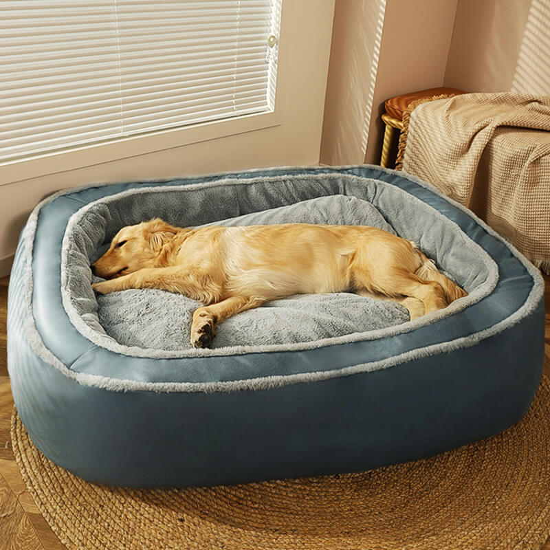 Goldener Retriever schläft auf großem, blauem orthopädischem Hundebett aus Plüsch im Wohnzimmer.