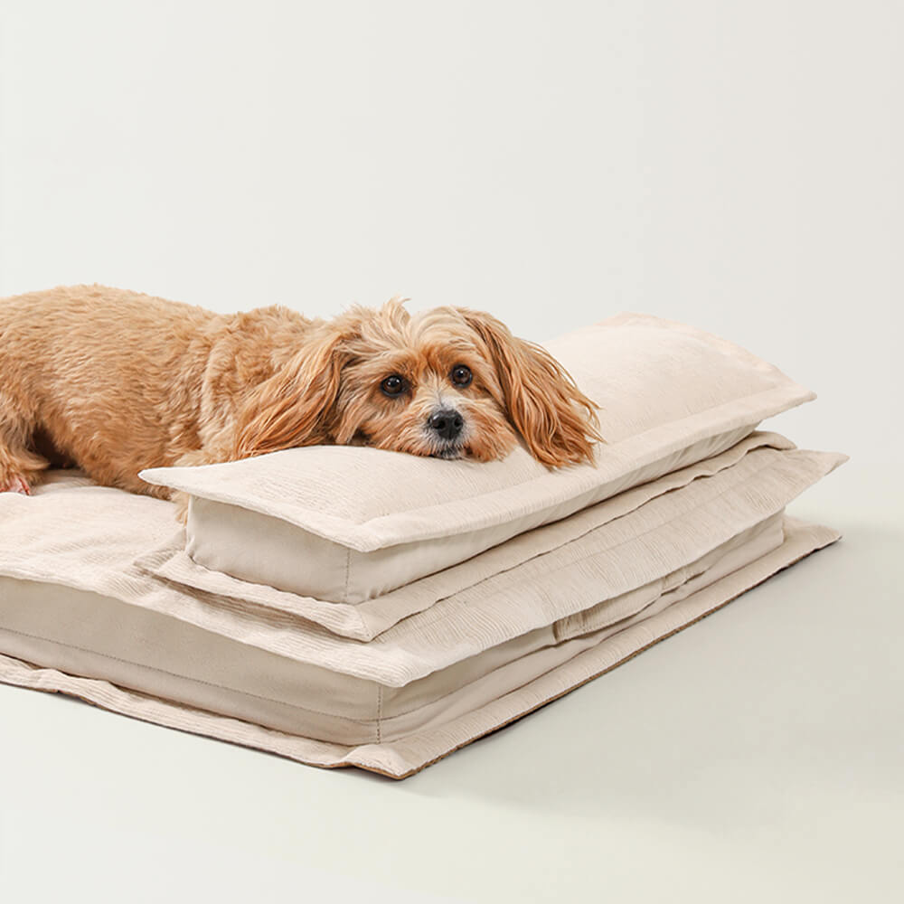 Hund auf beigem, wasserdichtem, anti-angst Hundebett mit Schwammunterstützung.