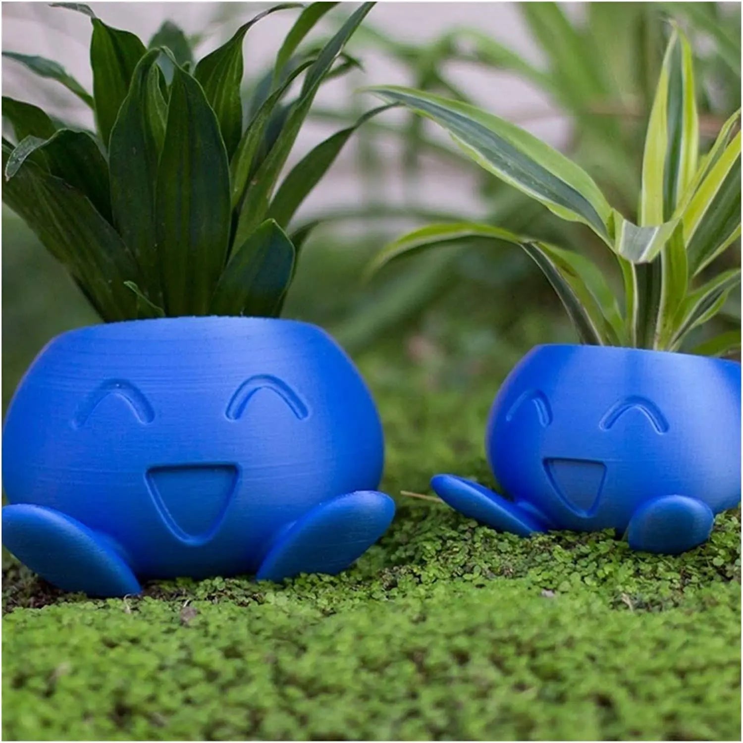 Blaue Pflanzentöpfe mit Gesicht, lustige Blumentöpfe, Kunststoff, für Sukkulenten, Garten.
