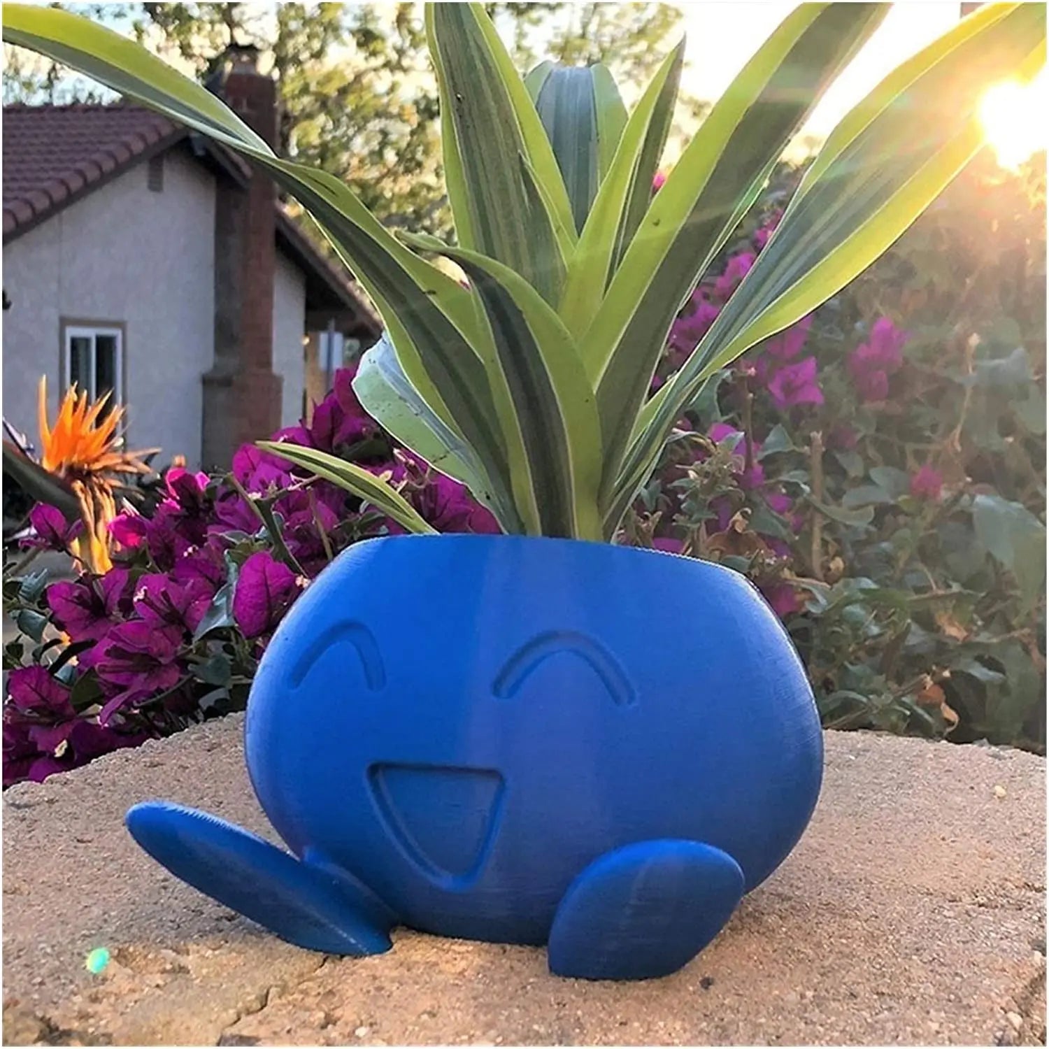 Blaue, lächelnde Pflanzentopf-Figur mit Sukkulente, Garten, dekorativ, Kunststoff.