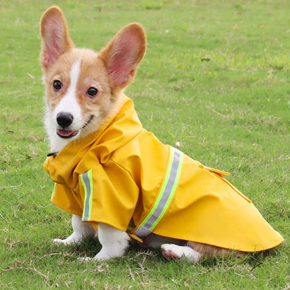 Corgi-Welpe im gelben Regenmantel auf grünem Rasen, Hundebekleidung, Haustiermode.