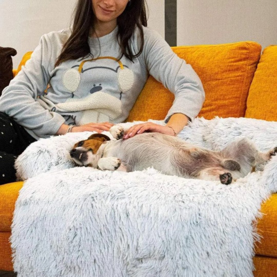 Frau mit Hund auf gelbem Sofa mit weißem Plüschbezug, gemütliches Hundesofa, Wohnzimmer.