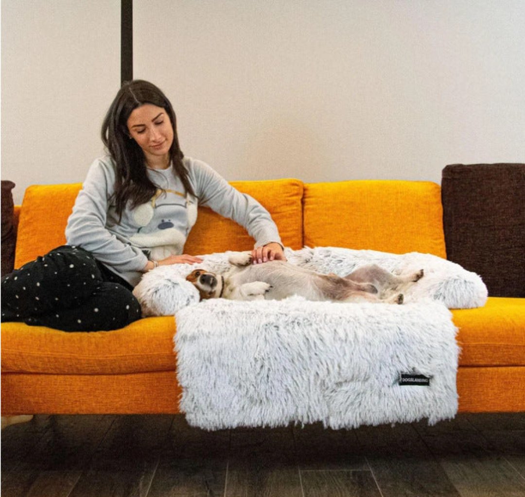 Flauschiges Hundesofa in Weiß auf gelbem Sofa, Frau streichelt Hund, gemütliches Haustierbett.