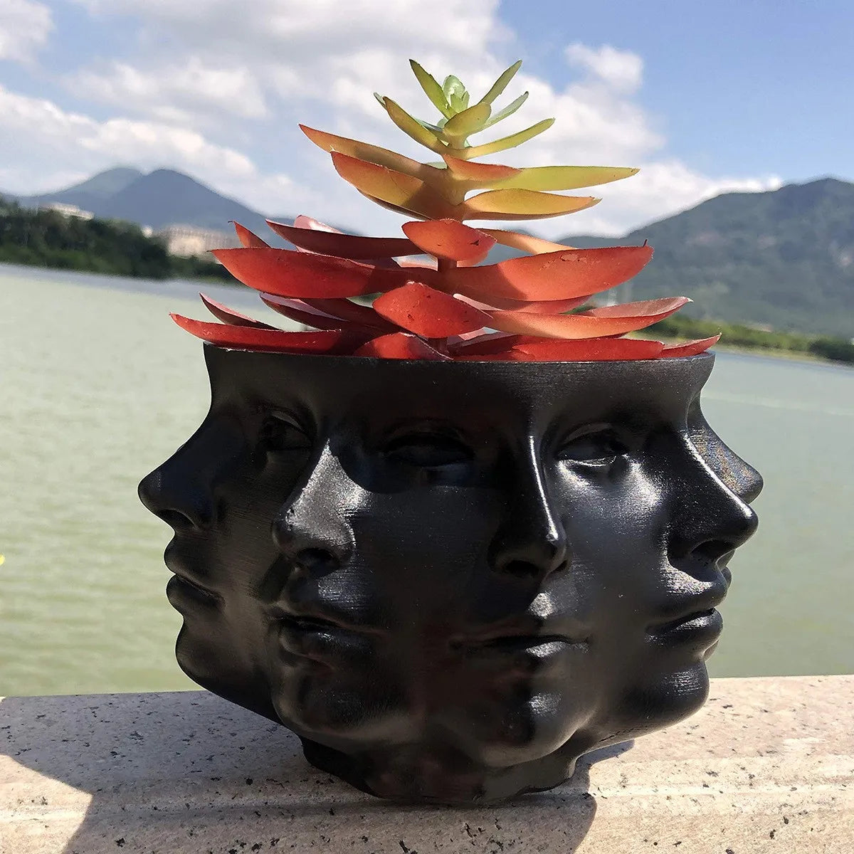 Schwarzer Blumentopf mit Gesichtern, Sukkulente, See und Berge im Hintergrund.