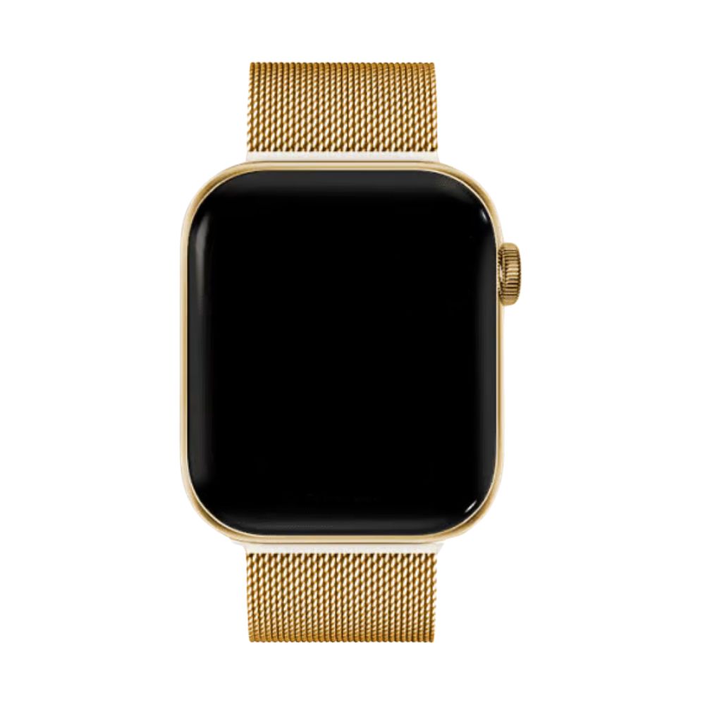 Milano Apple Watch-armband – SteelFlex