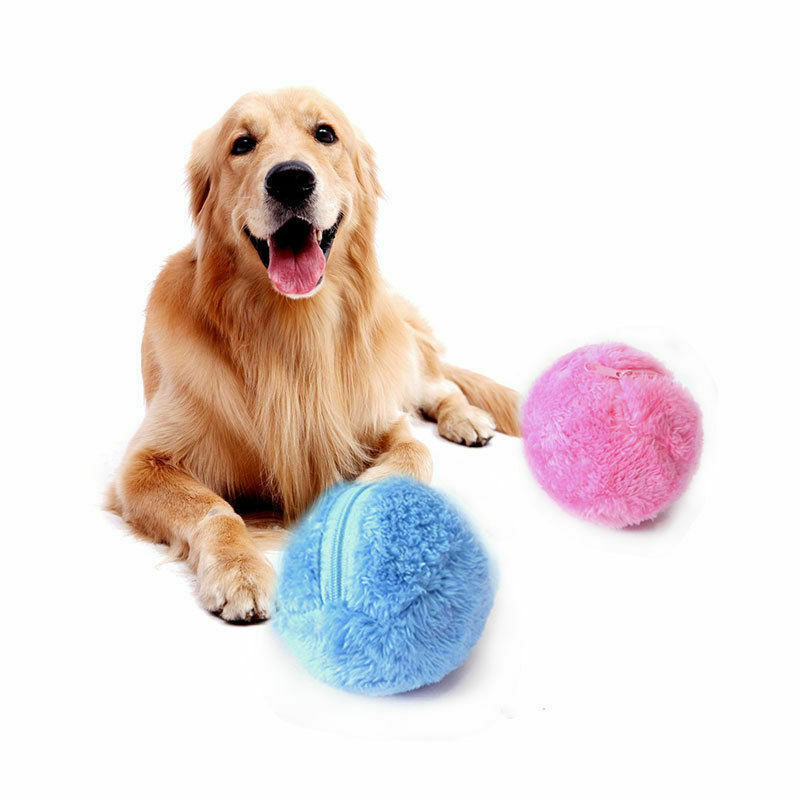 Golden Retriever mit rosa und blauem Plüschball, Hundespielzeug, Haustierbedarf.