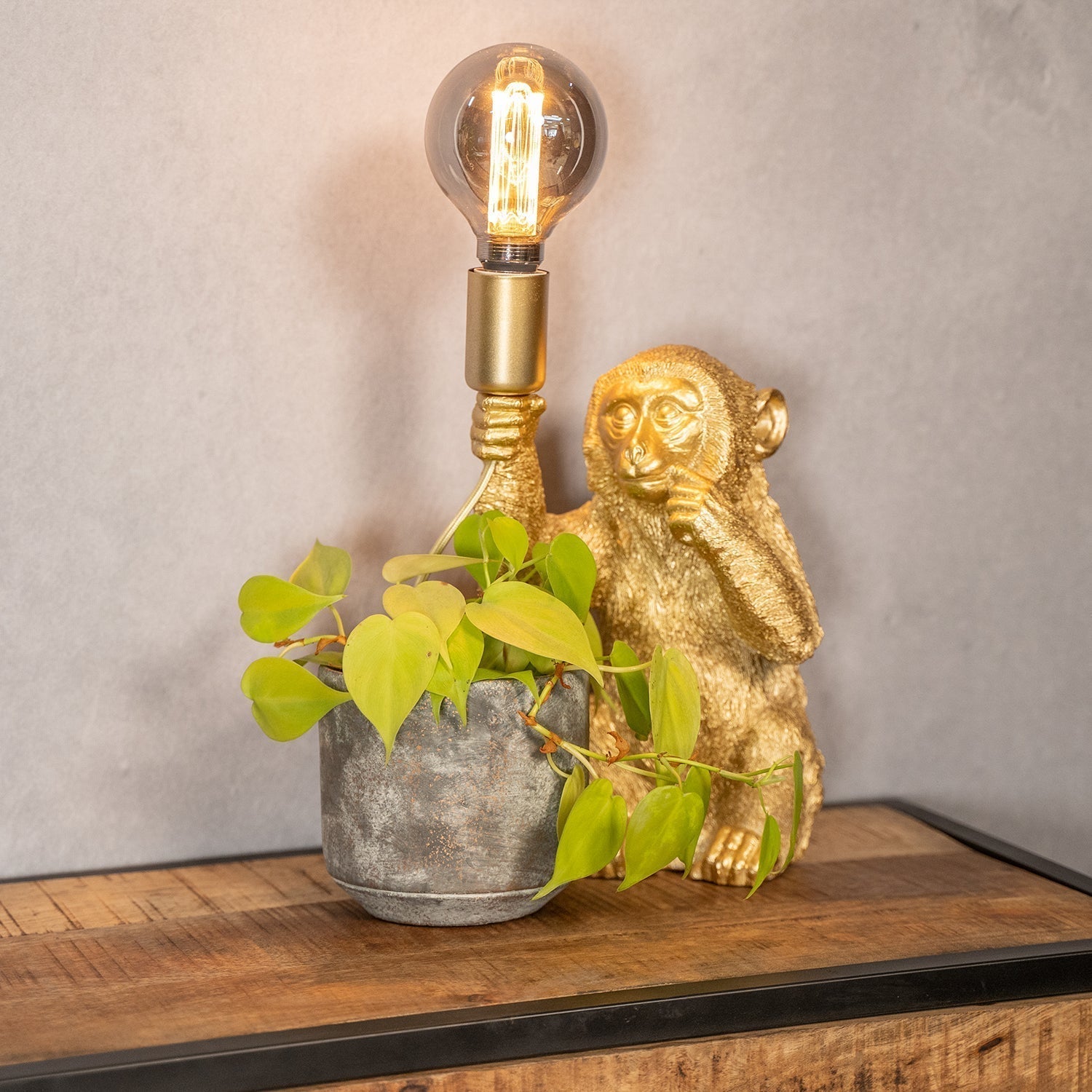 Goldene Affen-Tischlampe mit Glühbirne, dekorative Beleuchtung, 34 cm, neben Pflanze.
