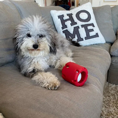 Grauer Hund auf grauem Sofa mit rotem Hundespielzeug, HOME-Kissen im Hintergrund.