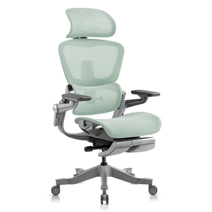 Ergonomisk kontorsstol med 16 justerbara funktioner - ErgoFlex