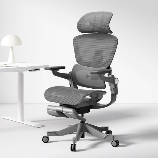 Ergonomisk kontorsstol med 16 justerbara funktioner - ErgoFlex