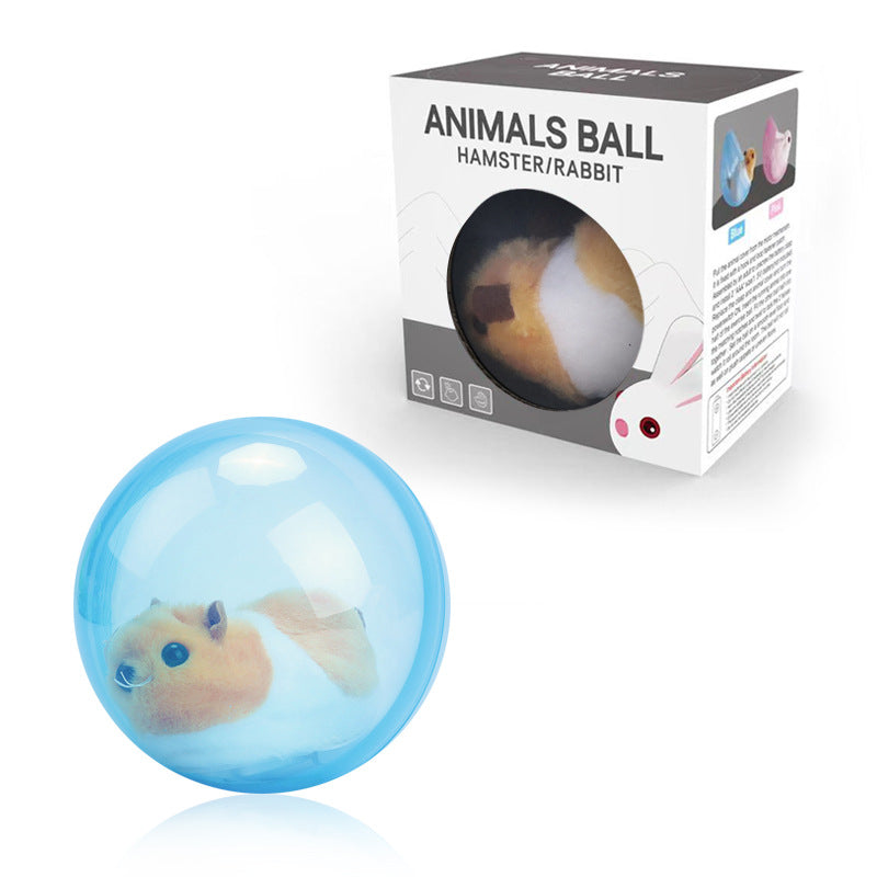 Blaue Hamsterball-Spielzeugkugel, transparent, mit Verpackung für Hamster und Kaninchen.