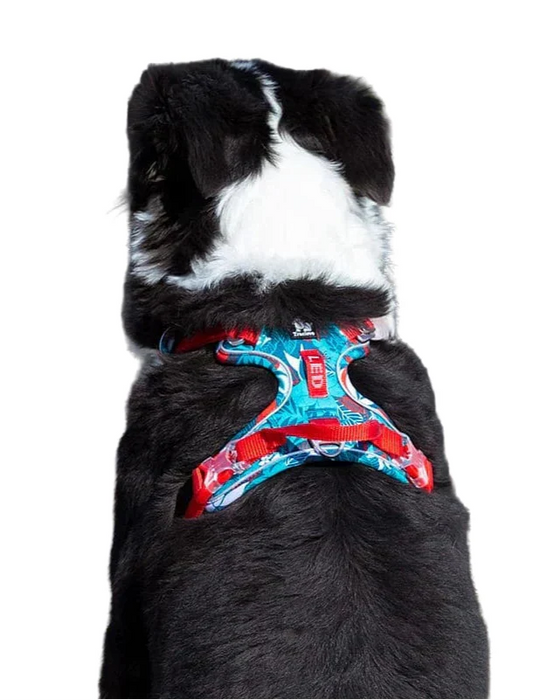 Bekväm och slitstark hundsele – Vendo
