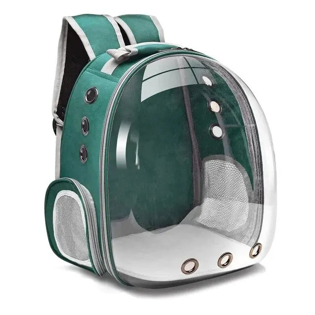 Grüner transparenter Haustier-Rucksack mit Belüftungslöchern und Netz, ideal für Katzen.