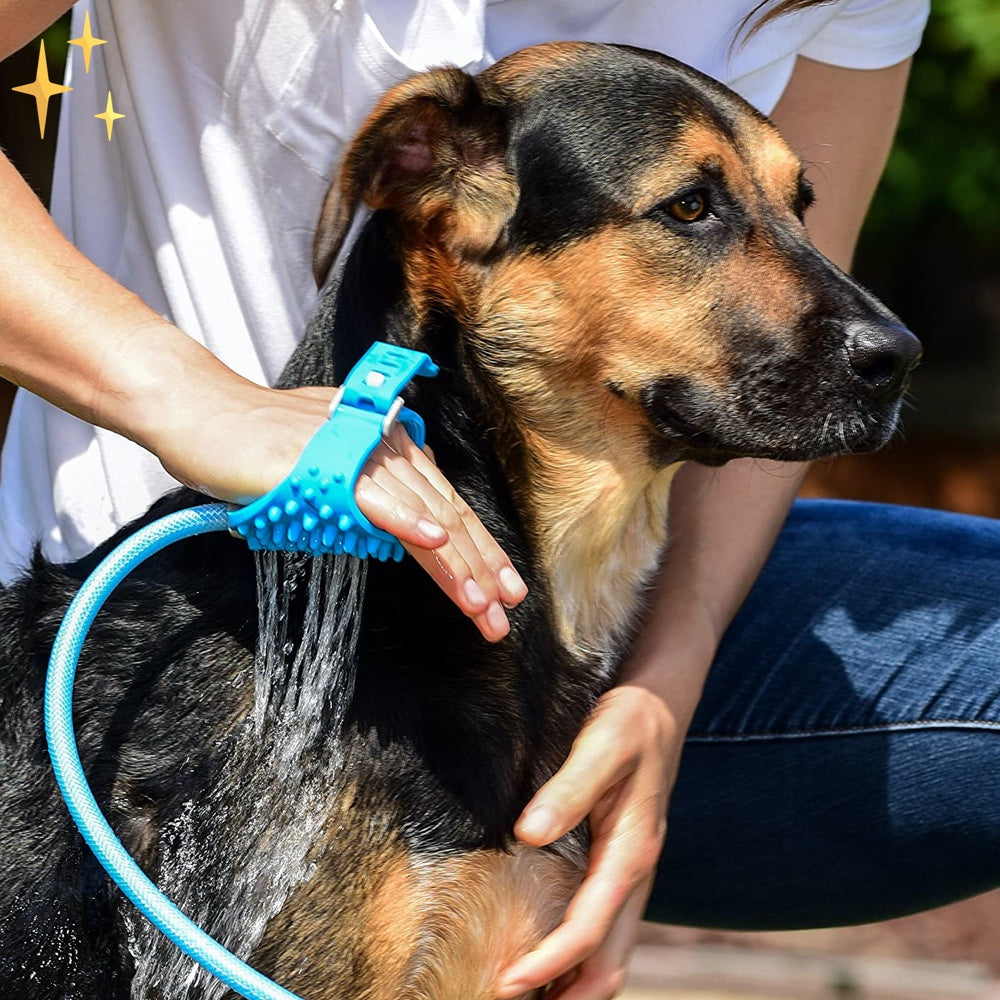 Hund wird mit blauem Hundeduschhandschuh gebadet, Haustierpflege, Hundewäsche, Outdoor.