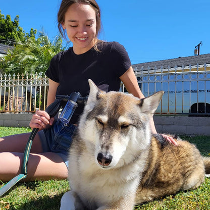 Frau mit braun-weißem Hund im Garten, sonniger Tag, lächelnd, entspannte Atmosphäre.