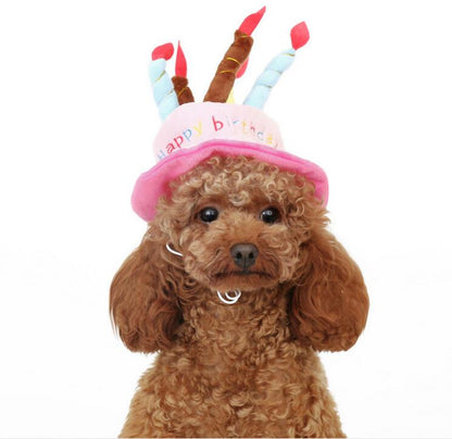 Lockiger brauner Pudel mit rosa Geburtstagsmütze, bunte Kerzen, niedlicher Hund.